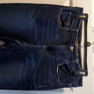 Arizona Dark Wash Jeggings